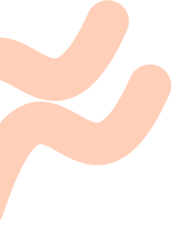 group 11 1 1.png