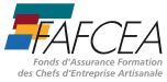 logo fafcea min.png