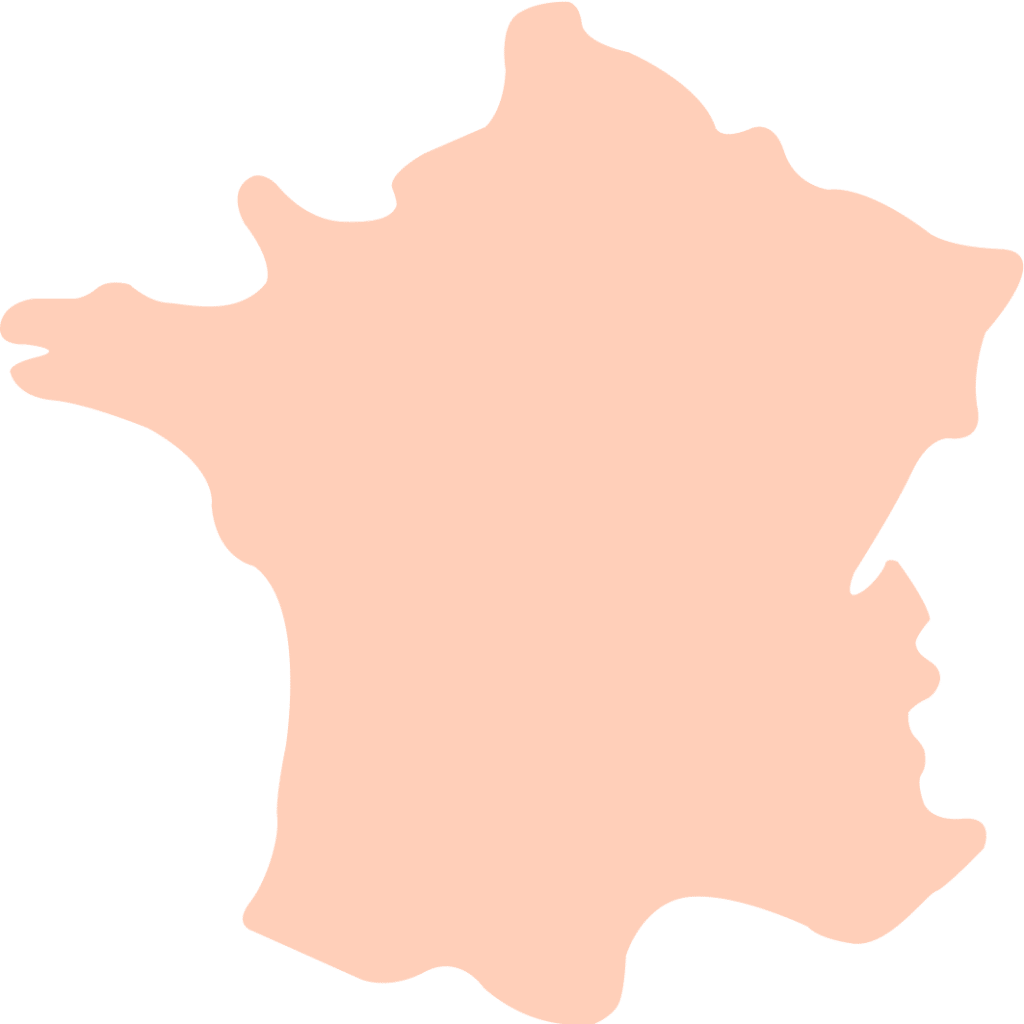 vector.png