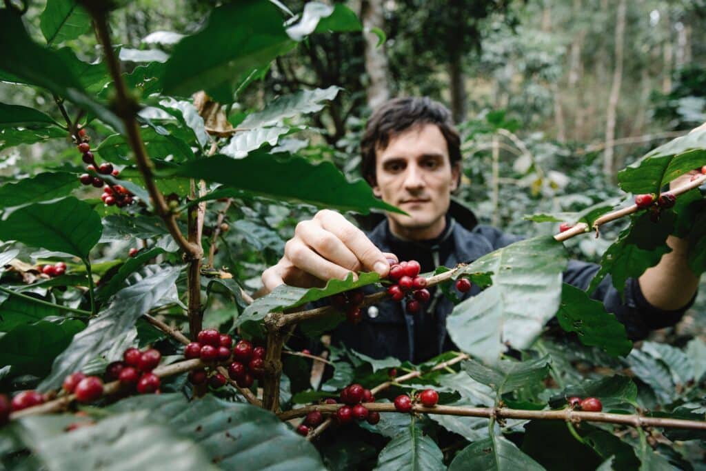 Viticulteurs, arboriculteurs salariés, cueilleurs